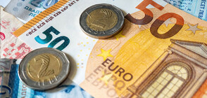 Бюджетната комисия в НС одобри Закона за въвеждане на еврото