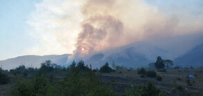 Two Spanish aircraft joined efforts to combat wildfire on Slavyanka Mountain