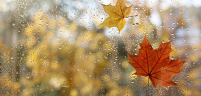 November comes with autumn rains