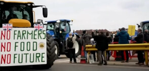 Фермери заплашват да спрат доставки за супермаркети във Великобритания