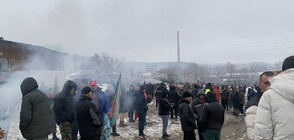 След седмица: Създават КПП край фермата във Велинград, проверявана за чума