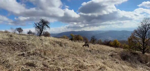 „Дотам и обратно”: Да подивееш в Източните Родопи (ВИДЕО)