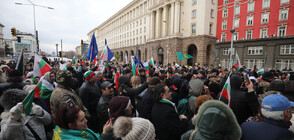 Стопаните на заразените с чума животни излязоха на протест пред Министерския съвет