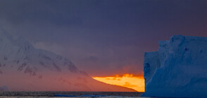 For the first time: Bulgarians explore Smith Island in Antarctica