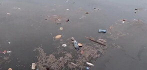 Замърсяване на водата в района на Морската гара във Варна