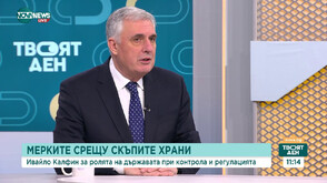 Калфин: Трябва да влезем в еврозоната, но не виждам подготовка за това