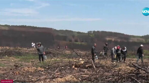 Доброволци засаждат 10 000 дръвчета край Свиленград