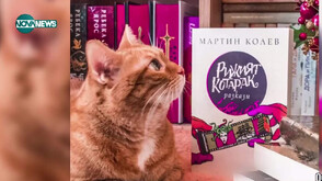 В ерата на екрана – те избират страницата: Кои са книжните инфлуенсъри (ВИДЕО)