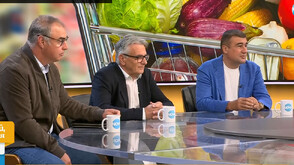 Спекула, превалутиране и регулация: Как ще се контролират цените в евро