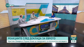 Какви трябва да са действията на политиците след доклада за еврото