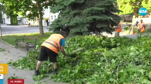 Паднали дървета и отнесени улични стълбове: Мощна буря връхлетя Лом