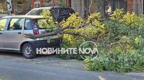 Огромен клон падна върху кола в Пловдив
