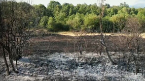 Пожарна опасност в България: Над 100 инцидента дневно и критични огнища в страната