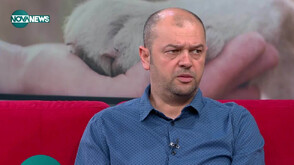 Насилието над животни: Ще има ли по-справедливи наказания след промените в НК?