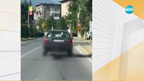 Кучето, влачено с кола в Банско, е без сериозни наранявания