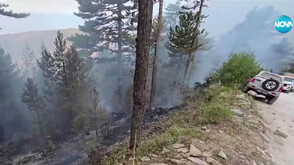 Пожарите в страната: Над 16 хил. дка изгоряха край Сунгурларе. В Пиринско огънят доближава Националния парк (ОБЗОР)