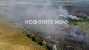 Пожар в защитена местност край Тутракан, дом на най-голямата колония къдроглави пеликани (ВИДЕО)
