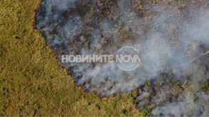 Пожар в защитена местност край Тутракан, дом на най-голямата колония къдроглави пеликани (ВИДЕО)