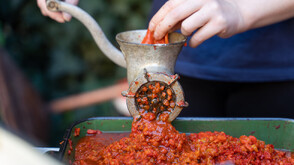 Първомай празнува лютеницата: Вкусът на детството става фестивал