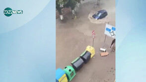 Наводнени улици и изкоренени дървета след силна буря в Дряново (ВИДЕО)