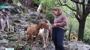 Коя е Маряна Коцеку - най-младият член на парламента в Албания