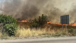 Пореден пожар в Тополовградско, обявено е частично бедствено положение