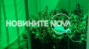 Заловиха сина на изявен прокурор с близо 50 кг марихуана
