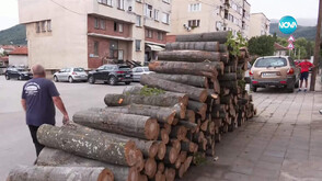 Ранна подготовка за зимата: Огромен ръст при продажбата на дърва в северозападна България