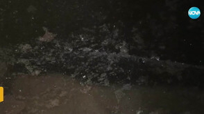 Блок в Добрич пропада заради наводнения от отпадни води (ВИДЕО)