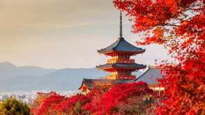 Есенна Япония - страната, в която ходят на "лов за листа" (СНИМКИ)