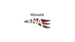 Самолет се разби в Кения, има вероятност 12 души да са загинали
