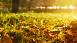 Започва “сиромашкото” лято