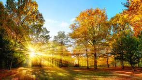 Предстои слънчев уикенд