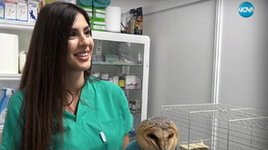 „Нищо лично”: Само на 26 и вече с награда от германското правителство