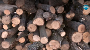 Всички търсят дърва за огрев: Северозападът се готви за люта еврозима