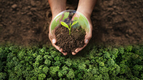 Учени: Планетата ни навлиза в „парникова траектория“, върви към климатичен хаос