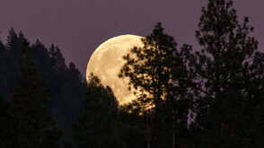 Уникално ярка суперлуна озари нощното небе над Сидни (ВИДЕО)