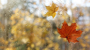 Облачно с валежи в края на седмицата