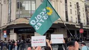 Франция и SHEIN: Въпреки критиките, китайската компания продължава да предизвиква небивал интерес сред френските потребители