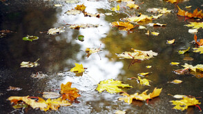 Жълт код за валежи в части от страната в понеделник