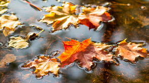 Над страната преминава циклон с облаци и дъжд