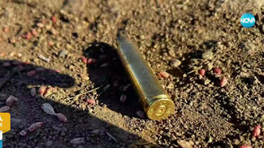 Множество сигнали за застреляни домашни животни в Русенско