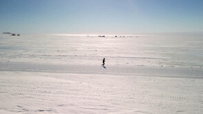 При -15°C: Ентусиасти бягаха в ултрамаратон на Антарктида (ВИДЕО)