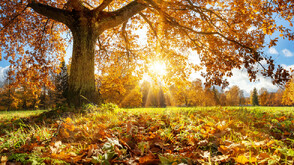 Слънчево и топло в петък с температури до 18 градуса