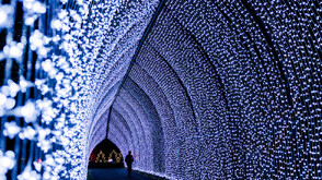 Сияйна коледна украса озари Кралската ботаническа градина в Лондон (ВИДЕО)