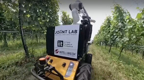 Италианци създадоха робот лозар, който се грижи сам за гроздето