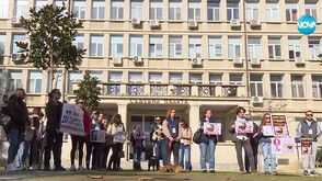 Протести в София и Варна срещу жестокостта към животни