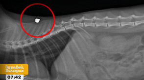 Страх и тревога в столичния кв. "Редута" след серия от стрелби