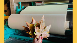 Да дадеш нов живот на есента: Украинец превръща падналите листа в нов вид хартия