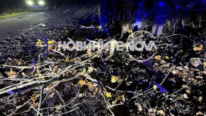 Силен вятър събори дърво и затвори път в Бургаско